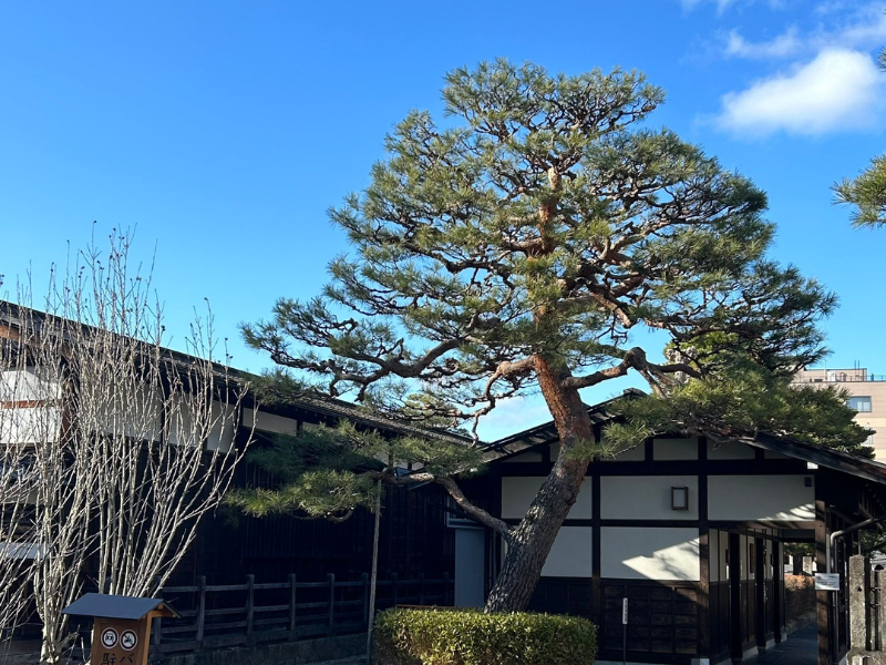In the Footsteps of the Samurai — 20